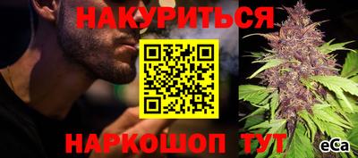 прущие крисы Апшеронск
