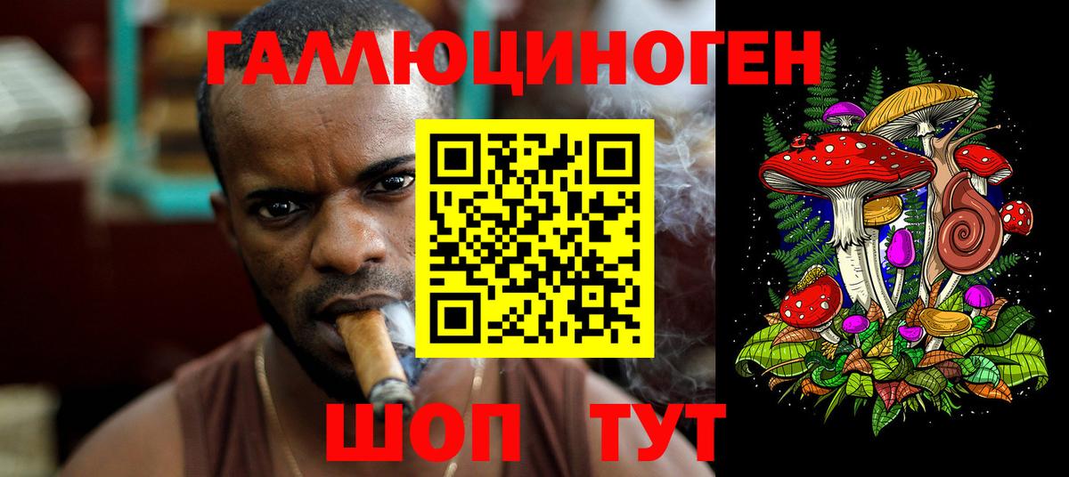 Галлюциногенные грибы Psilocybe  Вход с VPN  Бор 